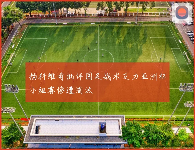扬科维奇批评国足战术乏力亚洲杯小组赛惨遭淘汰
